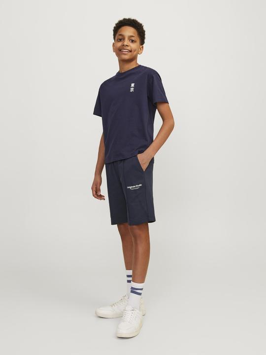 Actual product image Jack & Jones Jpstvesterbro Sweat Shorts Gms Mni (110)