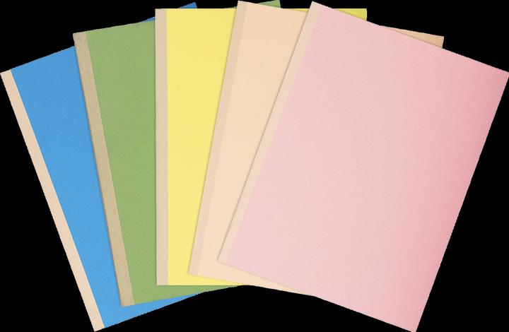 Produktbild Exacompta Sammelmappen - Aktendeckel (A4, 10 x)