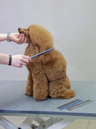 Actual product image Kerbl Fur comb (Cat, Dog)