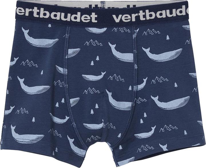 Immagine prodotto Vertbaudet Slip Intimo (158, 164, Confezione da 5 pezzi)