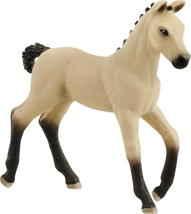 Actual product image Schleich Hanoverian foal dun