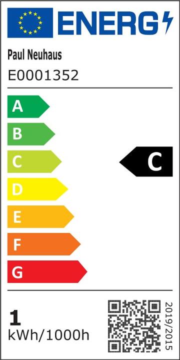 Energy Label Paul Neuhaus Carlo (120 lm)