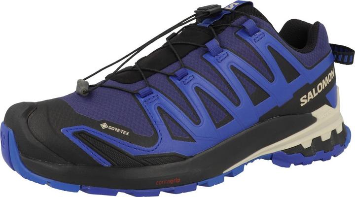 Salomon XA PRO 3D V9 GTX - 60353