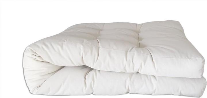 Produktbild Europe & Nature Futon (140 x 200 cm, Naturkern)