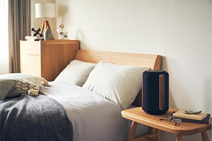 Actual product image Sony SRS-RA3000 (Electrical connection)