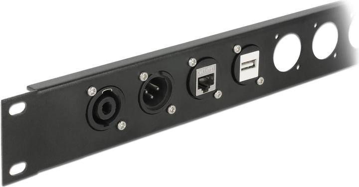 Actual product image Delock D-type module RJ11 Cat.3 jack to jack (Adapter)
