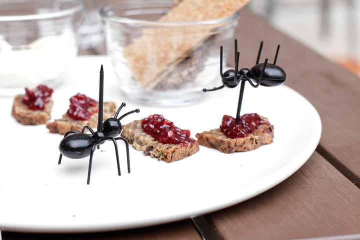 Produktbild Kikkerland Ants
