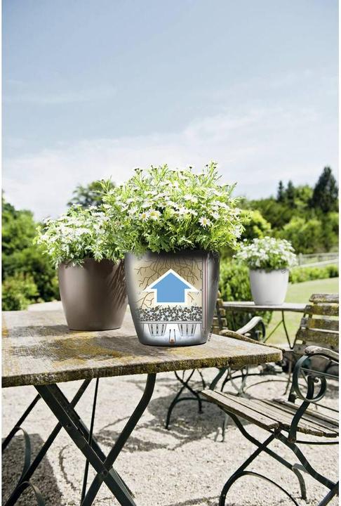 Actual product image Lechuza Classico Color (27.50 cm)
