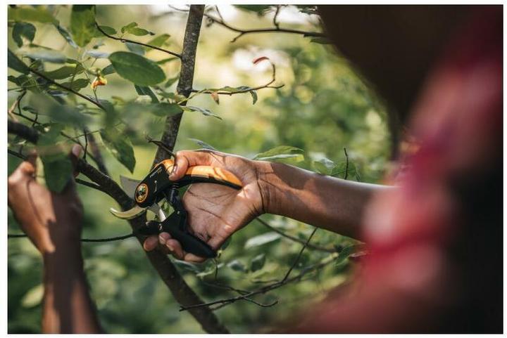 Image du produit Fiskars Plus PowerLever Bypass Secateurs P721