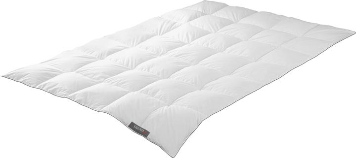 Actual product image Badenia Trendline Trendline Princess medium feather duvet (700 g, 135 x 200 cm)