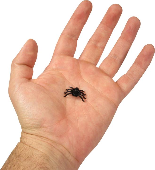 Produktbild PhoneLook Kleine Spinne plastik (1 Stück)