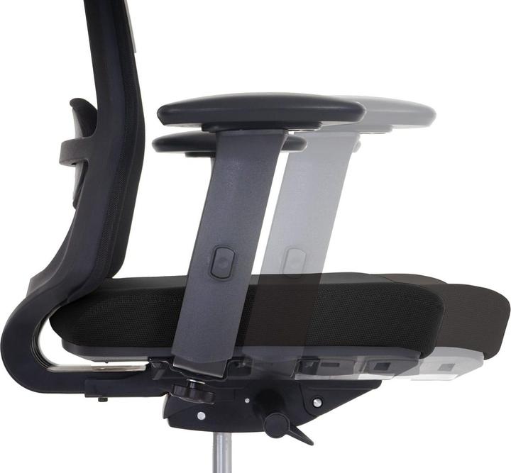 Actual product image Merryfair Forte
