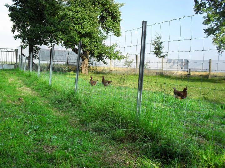 Produktbild Aquagart 450m Wildzaun Forstzaun Weidezaun Drahtzaun 160/20/15