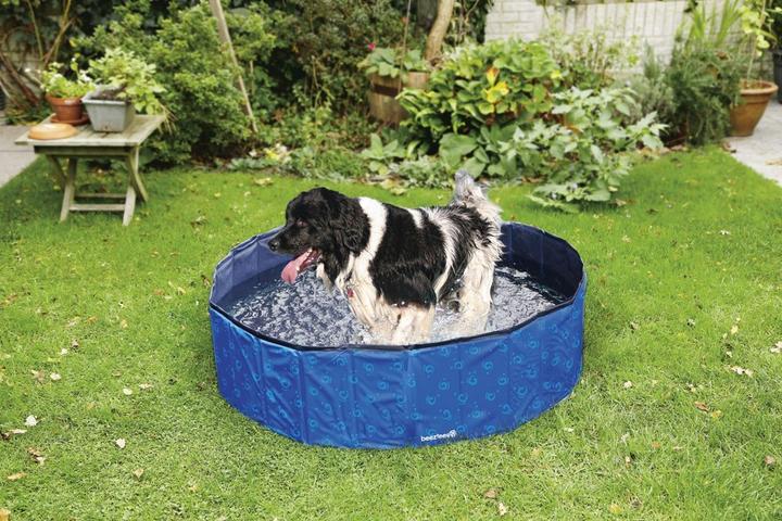 Immagine prodotto Beeztees Piscina per cani (Piscina per cani)