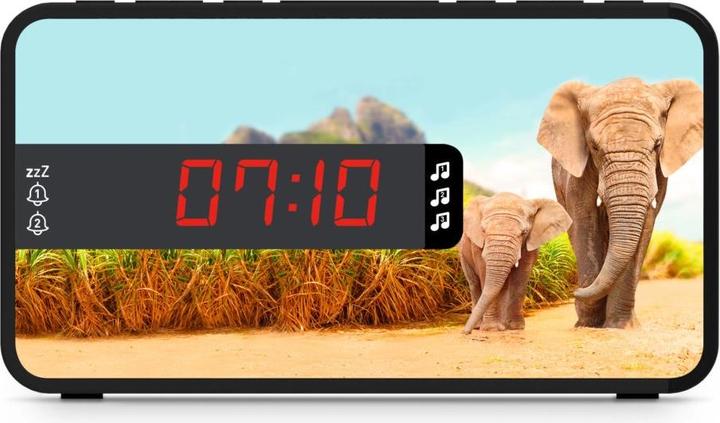 Image du produit Bigben Safari