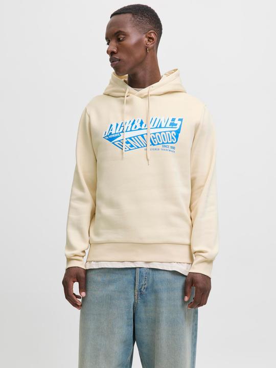 Immagine prodotto Jack & Jones JJELOGO SWEAT HOOD 2 COL 25/26 NOOS (XS)