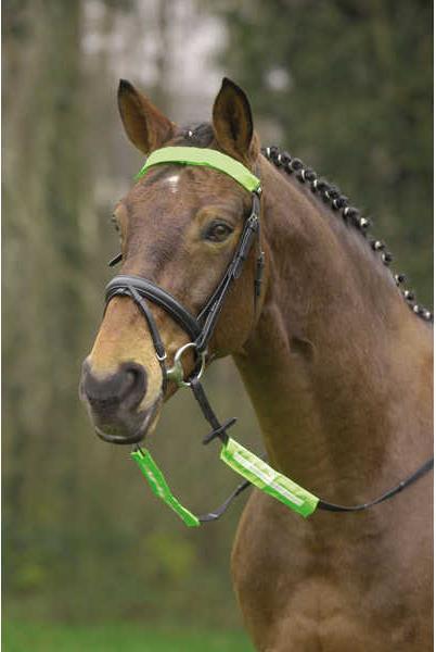 Actual product image Waldhausen Reflex Snaffle Set