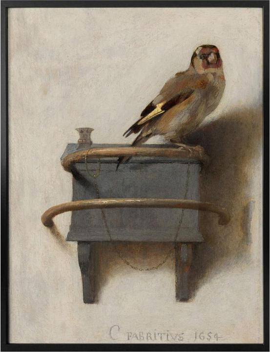 Immagine prodotto Trenddeko Il cardellino (50 x 60 cm)