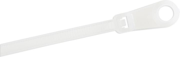 Produktbild StarTech 10cm(4") Cable Ties with Mounting Hole, 2mm(1/16") wide, 24mm(7/8") Bundle Dia. (Kunststoffkabelbinder, 3 mm, 100 Stk.)