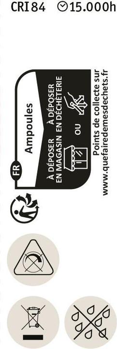 Actual product image Paulmann Pin base (G4, 3 W, 300 lm, 1 x, F)