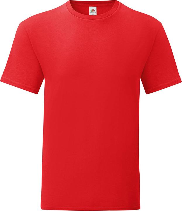 Fruit of the Loom Iconic 150 TShirt (L)