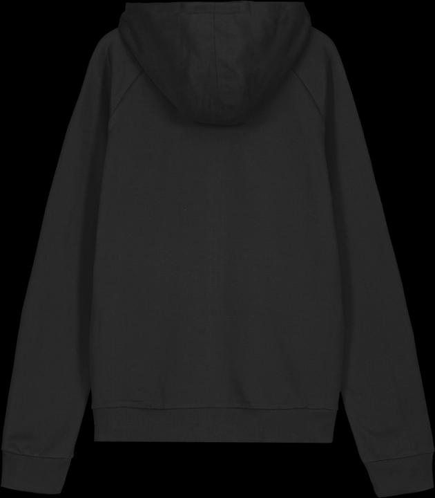 Immagine prodotto Speedo Hooded Sweat Jacket JUNIOR Sma (164)