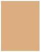 Produktbild Rimmel London Kind & Free Blur It Out Mattifying Skin Tint (210 Golden Beige)
