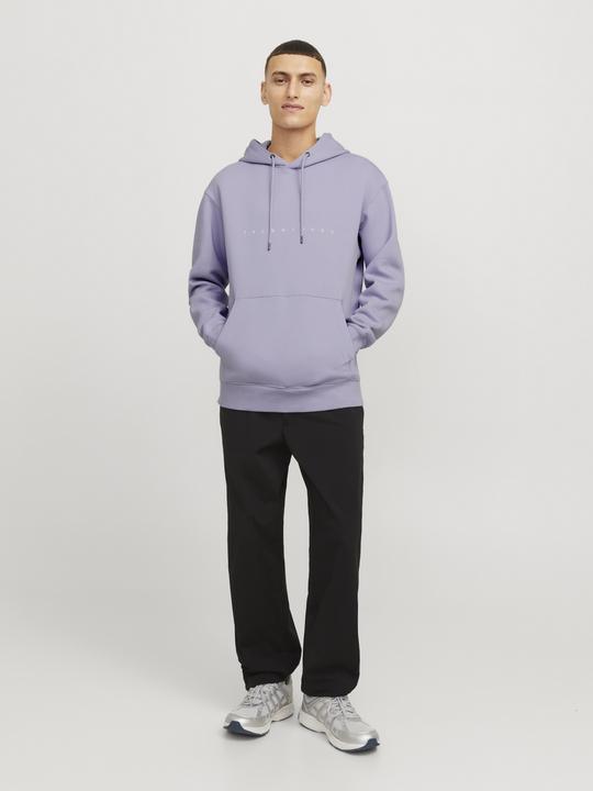 Image du produit Jack & Jones Jjestar Jj Sweat Hood Noos (XXL)