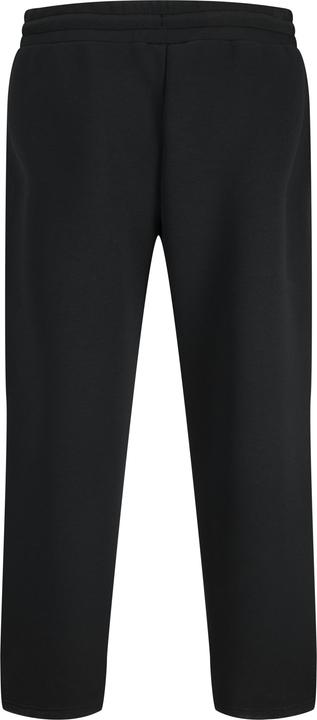 Actual product image Jack & Jones Jpstkarl Scuba Sweat Pants Ln (M)