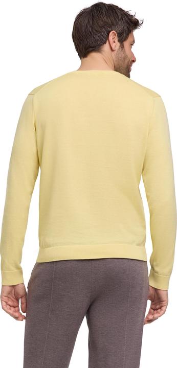 Produktbild Falke FAV Cotton V-Neck m (XL)