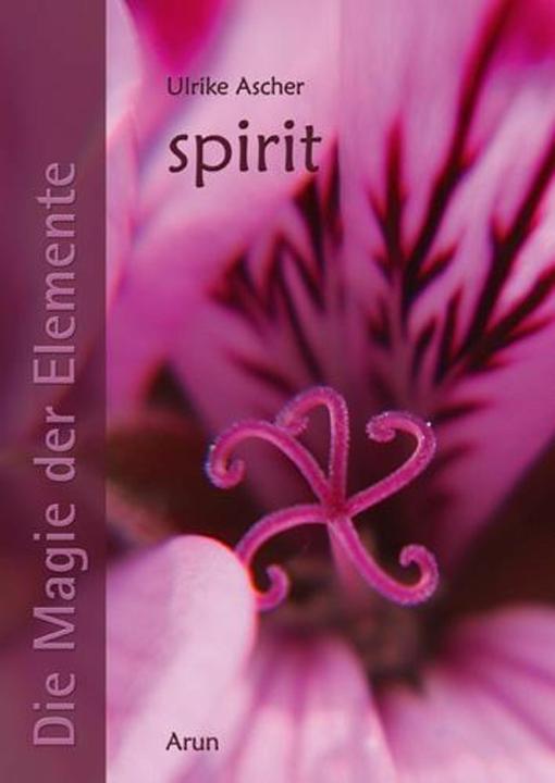 Produktbild Die Magier der Elemente 5. Spirit (Deutsch, Ulrike Ascher, 2010)