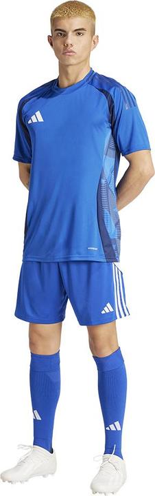 Actual product image adidas TIRO24 SHORT (M)
