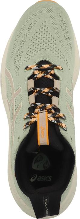 Produktbild ASICS Performance Gel Nimbus 26 TR (43.5)