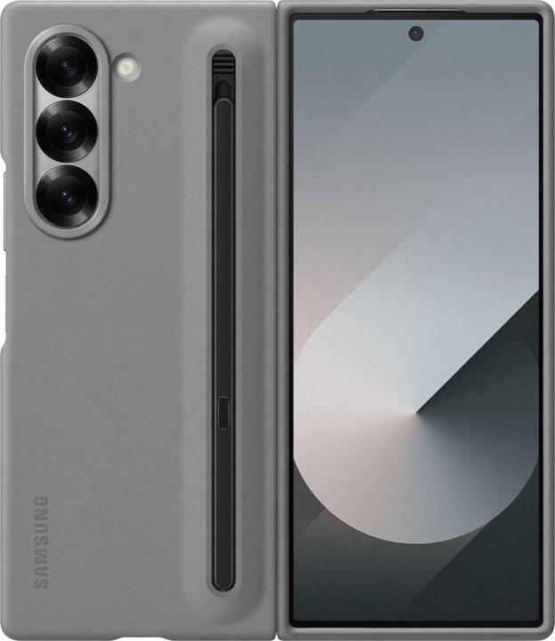 Samsung Couverture (Samsung Galaxy Z Fold6)