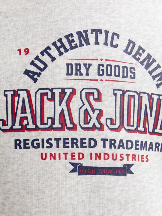 Immagine prodotto Jack & Jones JJELOGO SWEAT HOOD 2 COL 24/25 NOOS JNR (128)