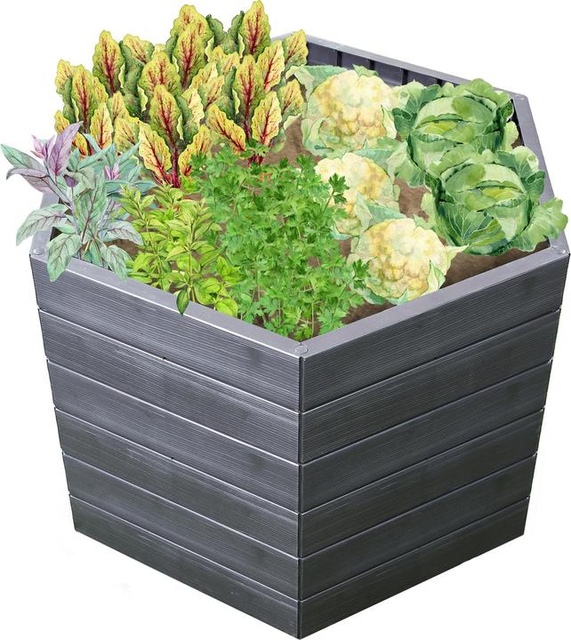Produktbild Graf Garantia Ergo