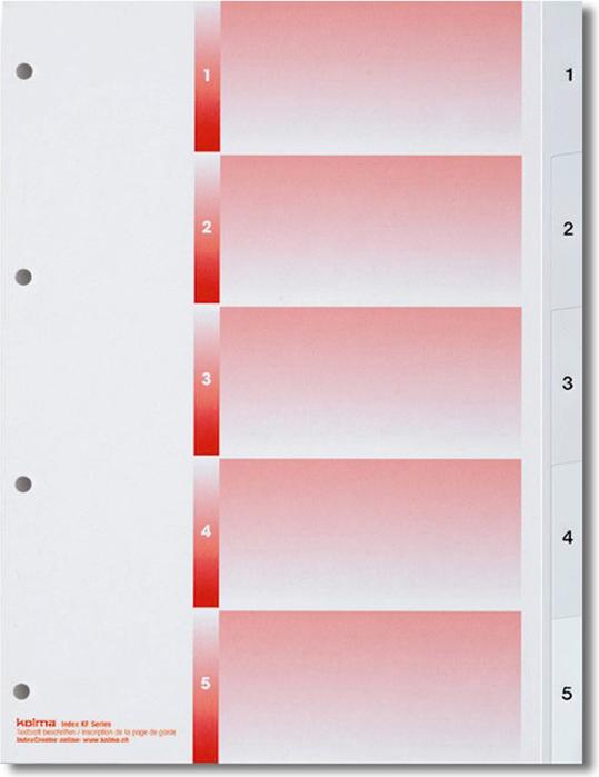 Actual product image Kolma Index A4 strong 1-5 5-piece white