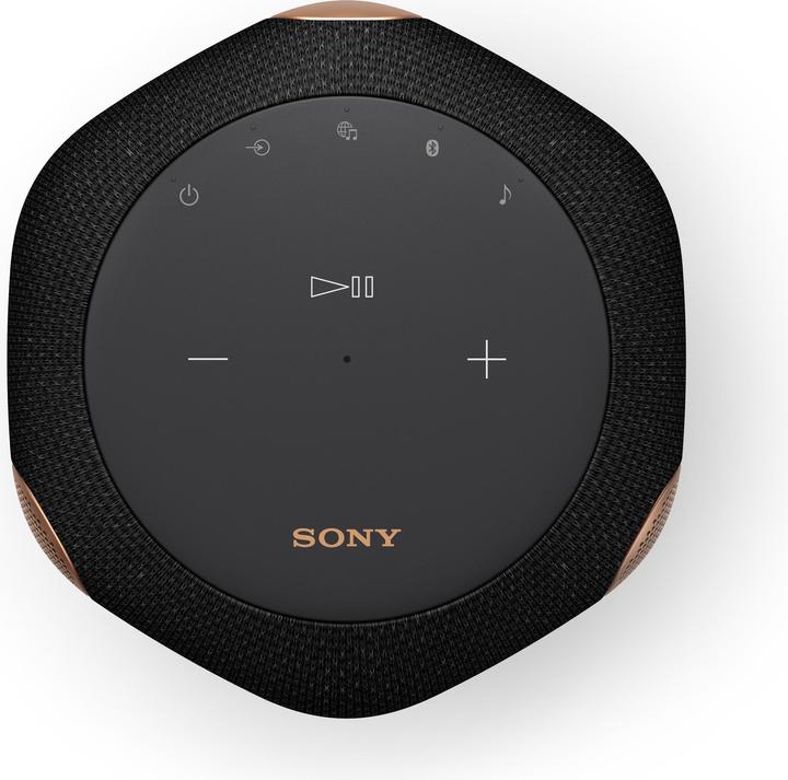 Actual product image Sony SRS-RA3000 (Electrical connection)