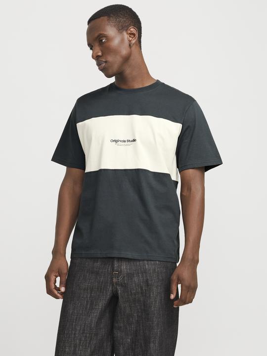 Produktbild Jack & Jones Jorvesterbro Block Tee Ss Crew Styd Aw24 (S)