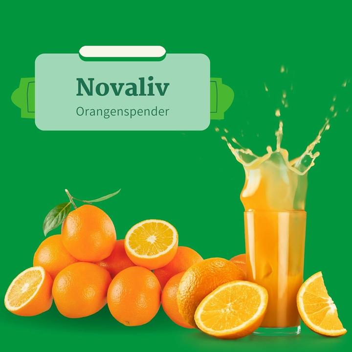 Produktbild Novaliv 2er Set praktischer Orangenspender 9x44x32cm Orangenhalter Spirale Stahl 9x44x32cm stilvoll