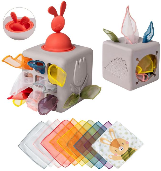 Motor skill toys