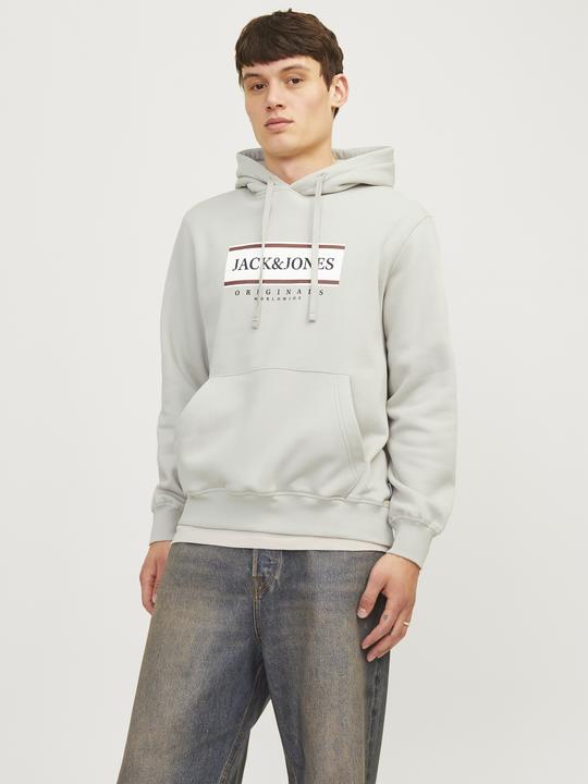 Actual product image Jack & Jones Jorfrederiksberg Box Sweat Hood Sn (S)