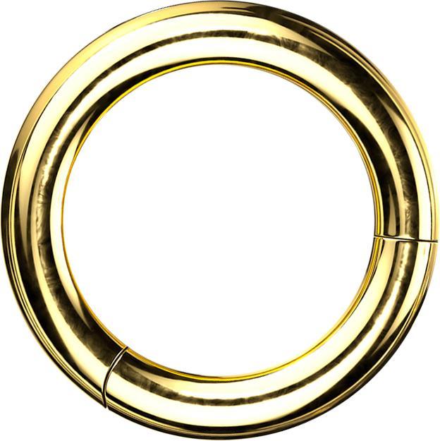Immagine prodotto Star Piercing Anello a segmenti con cerniera placcato oro (Titanio G23, senza ottone)