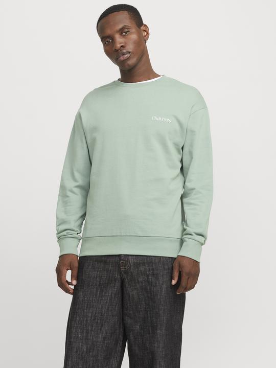 Actual product image Jack & Jones Jjebradley Graphic Sweat Crew Noos (XL)