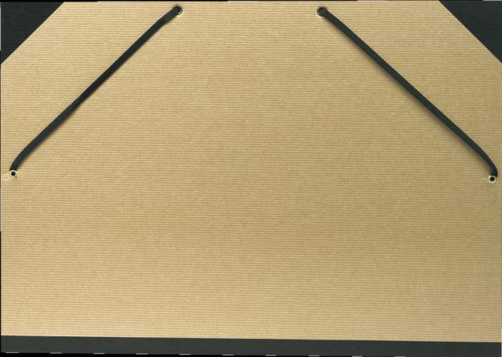 Image du produit Exacompta Dossiers de dessin (A3, 1 x)
