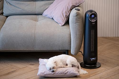 Image du produit Adler AD 7731 Chauffage électrique d'ambiance Indoor Ventilateur de chauffage électrique d'ambiance (2200 W)