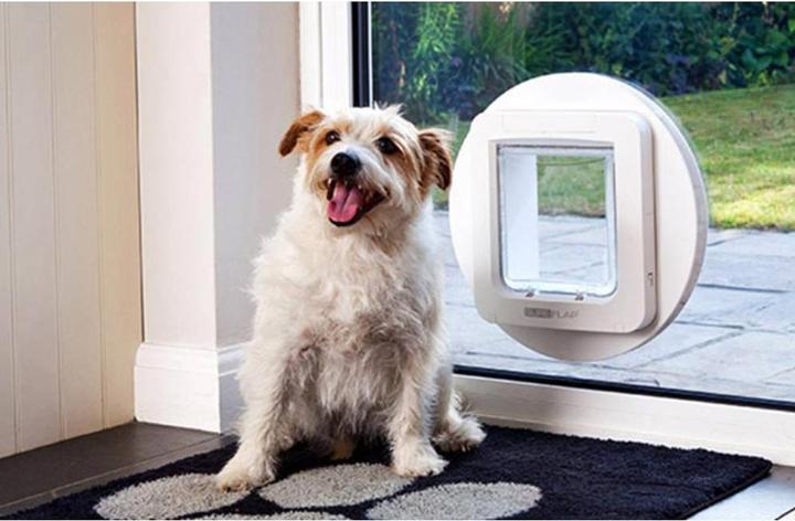 Produktbild SureFlap Haustierklappe Mikrochip (Mikrochip Katzenklappe)