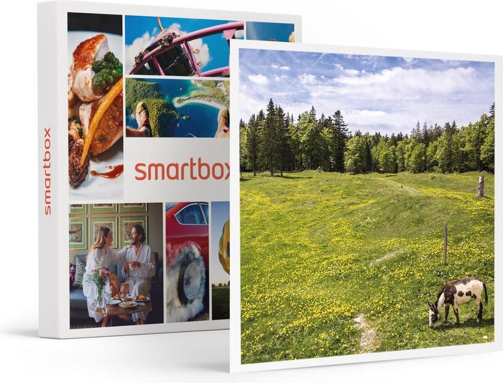 Produktbild Smartbox Im Herzen des Waadtländer Juras: 1 Eselritt für 1 Tag für 2 Personen (2 Pers.)