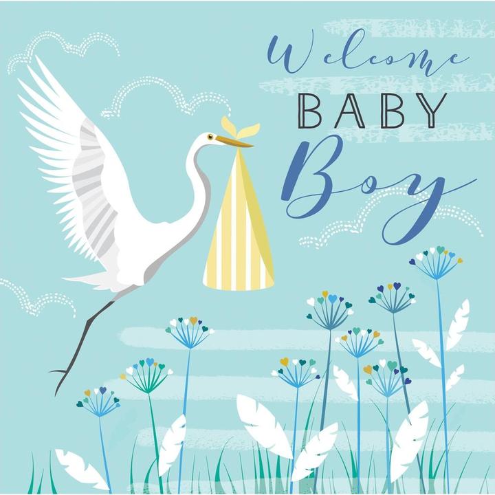 Image du produit Cart Bienvenue bébé garçon (1 pcs)