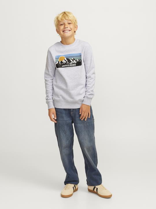 Immagine prodotto Jack & Jones Felpa stampata con collo rotondo Felpa con collo rotondo (164)